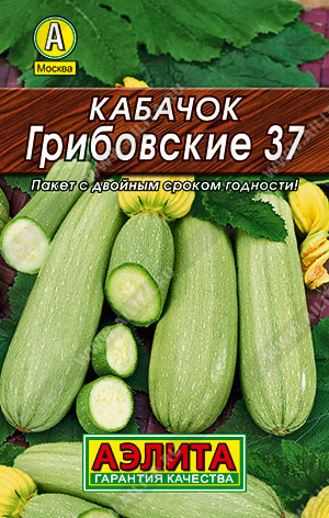 Кабачок белоплодный Грибовские 37 - фото Кабачок белоплодный Грибовские 37 - фото
