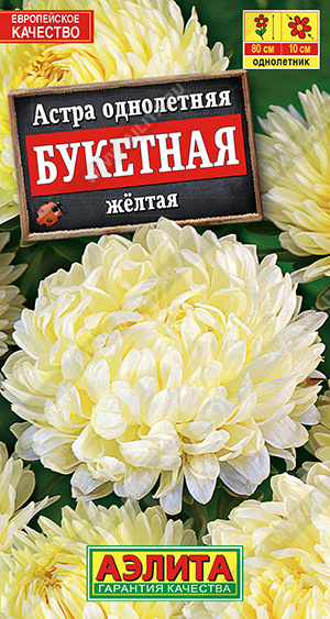 Астра Букетная желтая - фото Астра Букетная желтая - фото