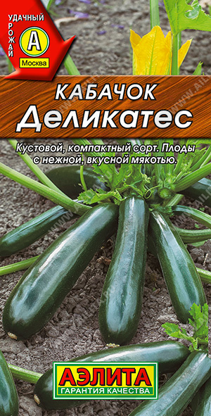 Кабачок цуккини Деликатес - фото Кабачок цуккини Деликатес - фото