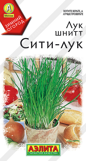 Лук шнитт Сити-лук - фото Лук шнитт Сити-лук - фото