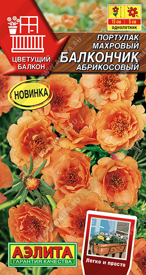 Портулак махровый Балкончик абрикосовый - фото Портулак махровый Балкончик абрикосовый - фото
