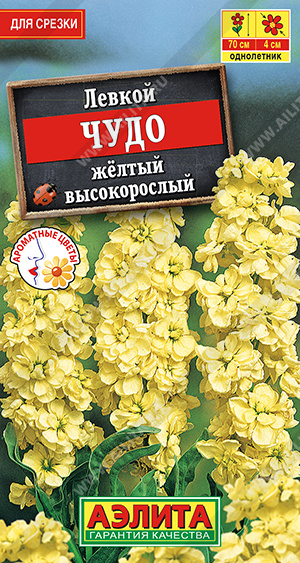 Левкой высокорослый Чудо желтый - фото Левкой высокорослый Чудо желтый - фото