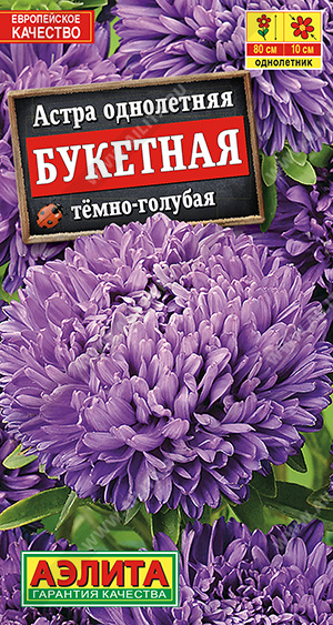 Астра Букетная темно-голубая - фото Астра Букетная темно-голубая - фото
