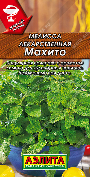 Мелисса лекарственная Махито - фото Мелисса лекарственная Махито - фото