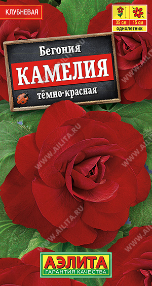 Бегония крупноцветковая Камелия темно-красная - фото Бегония крупноцветковая Камелия темно-красная - фото