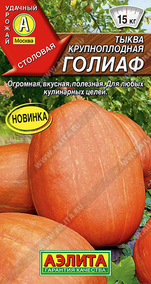 Тыква крупноплодная Голиаф - фото Тыква крупноплодная Голиаф - фото