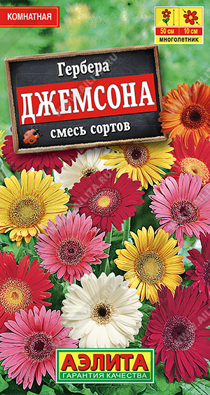Гербера Джемсона, смесь сортов - фото Гербера Джемсона, смесь сортов - фото