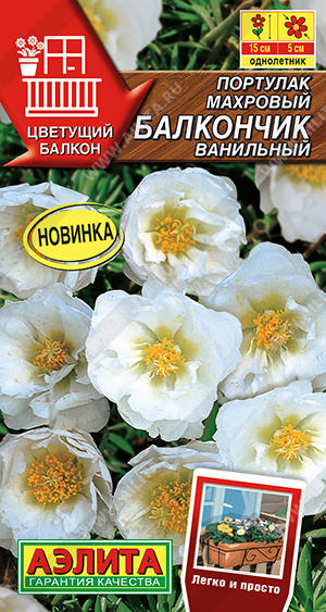 Портулак махровый Балкончик ванильный - фото Портулак махровый Балкончик ванильный - фото