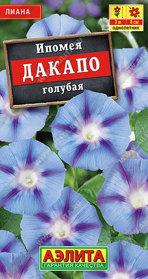 Ипомея Дакапо голубая - фото Ипомея Дакапо голубая - фото