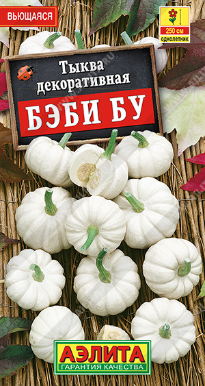 Тыква декоративная Бэби бу - фото Тыква декоративная Бэби бу - фото