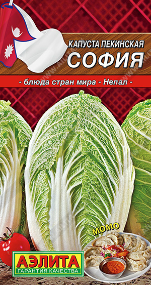 Капуста пекинская София - фото Капуста пекинская София - фото