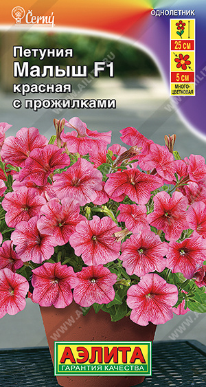 Петуния мини Малыш F1 красная с прожилками многоцветковая - фото Петуния мини Малыш F1 красная с прожилками многоцветковая - фото