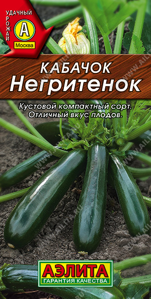 Кабачок цуккини Негритенок - фото Кабачок цуккини Негритенок - фото