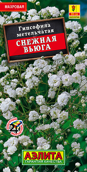 Гипсофила махровая Снежная вьюга - фото Гипсофила махровая Снежная вьюга - фото