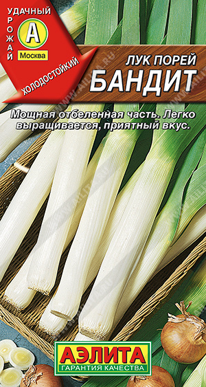 Лук порей Бандит - фото Лук порей Бандит - фото