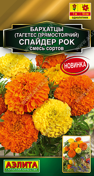 Бархатцы Спайдер рок прямостоячие, смесь сортов - фото Бархатцы Спайдер рок прямостоячие, смесь сортов - фото