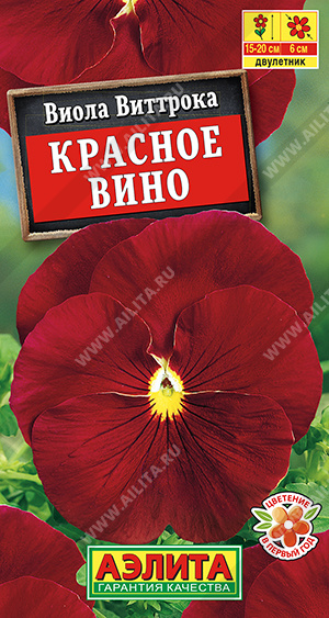 Виола Красное вино - фото Виола Красное вино - фото