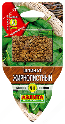 Шпинат Жирнолистный - фото Шпинат Жирнолистный - фото