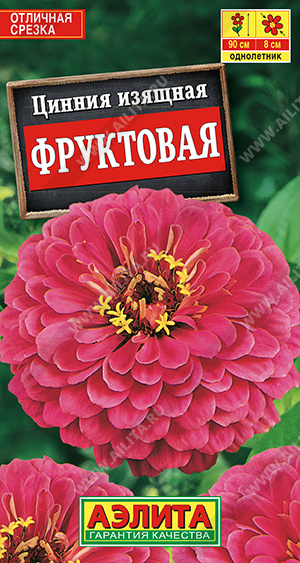 Цинния Фруктовая - фото Цинния Фруктовая - фото