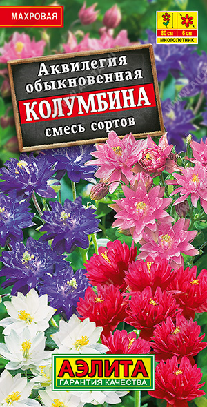 Аквилегия Колумбина, смесь сортов - фото Аквилегия Колумбина, смесь сортов - фото