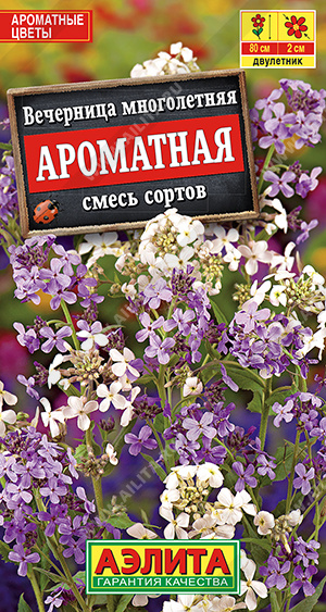 Вечерница Ароматная, смесь сортов - фото Вечерница Ароматная, смесь сортов - фото