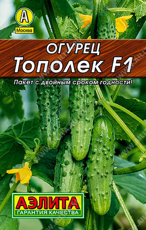 Огурец Тополек F1 - фото Огурец Тополек F1 - фото