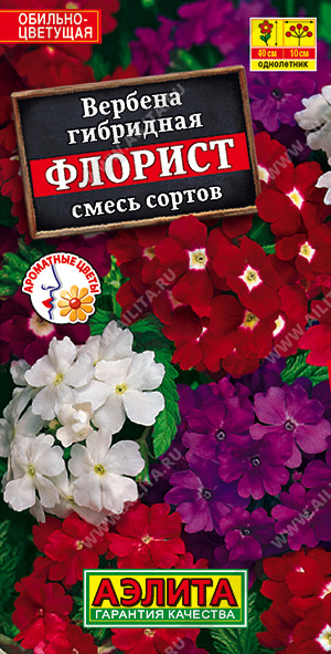 Вербена Флорист, смесь сортов - фото Вербена Флорист, смесь сортов - фото