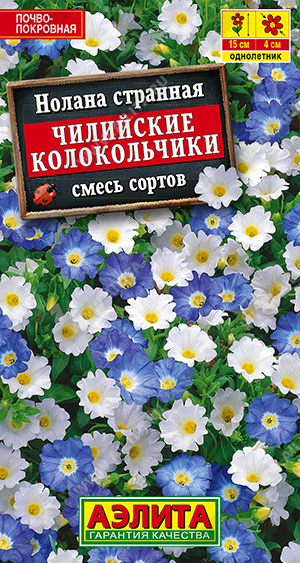 Нолана Чилийские колокольчики, смесь окрасок - фото Нолана Чилийские колокольчики, смесь окрасок - фото