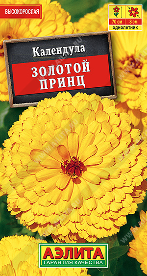 Календула Золотой принц - фото Календула Золотой принц - фото