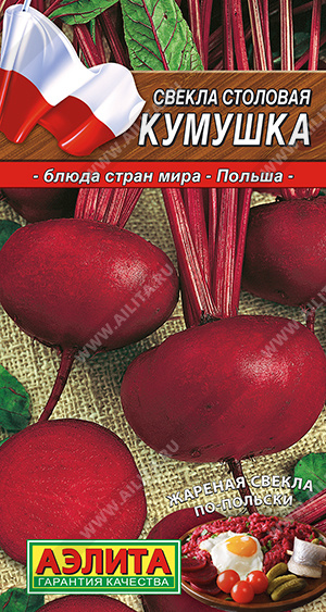 Свекла столовая Кумушка - фото Свекла столовая Кумушка - фото