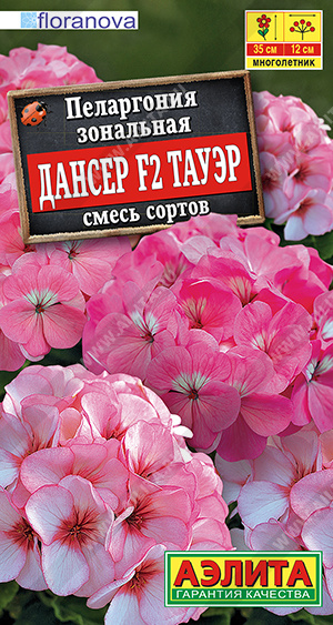 Пеларгония Дансер F2 Тауэр, смесь сортов - фото Пеларгония Дансер F2 Тауэр, смесь сортов - фото