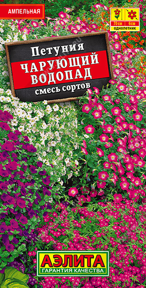 Петуния Чарующий водопад ампельная, смесь сортов - фото Петуния Чарующий водопад ампельная, смесь сортов - фото