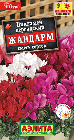 Цикламен персидский Жандарм, смесь сортов - фото Цикламен персидский Жандарм, смесь сортов - фото