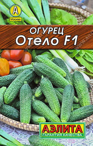 Огурец Отело F1 - фото Огурец Отело F1 - фото
