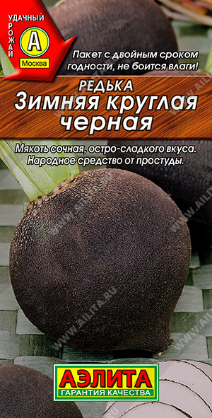 Редька Зимняя круглая черная - фото Редька Зимняя круглая черная - фото