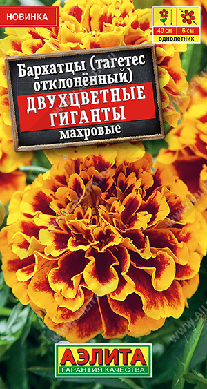 Бархатцы Двухцветные гиганты отклоненные махровые - фото Бархатцы Двухцветные гиганты отклоненные махровые - фото