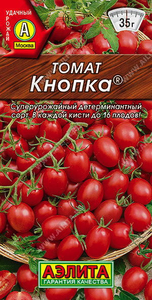 Томат Кнопка - фото Томат Кнопка - фото