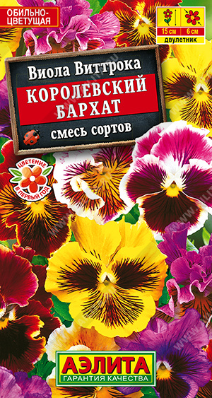 Виола Королевский бархат, смесь сортов - фото Виола Королевский бархат, смесь сортов - фото