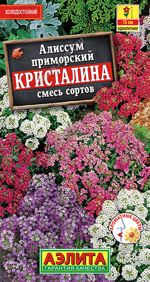 Алиссум Кристалина, смесь сортов - фото Алиссум Кристалина, смесь сортов - фото
