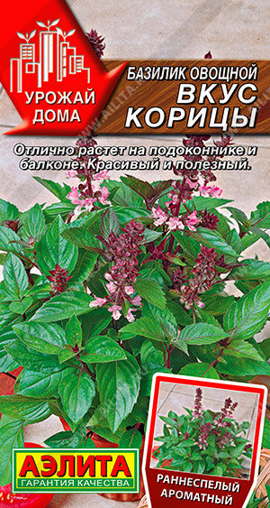 Базилик овощной Вкус корицы - фото Базилик овощной Вкус корицы - фото