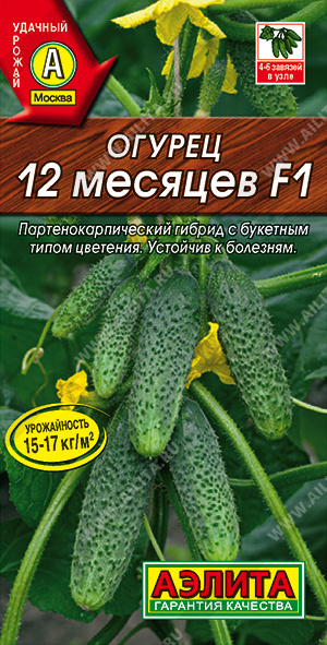 Огурец 12 месяцев F1 - фото Огурец 12 месяцев F1 - фото