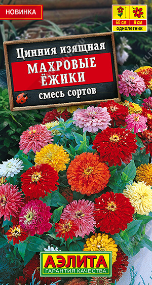 Цинния Махровые ёжики, смесь сортов - фото Цинния Махровые ёжики, смесь сортов - фото