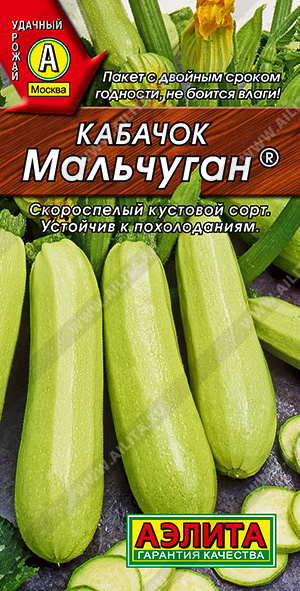 Кабачок белоплодный Мальчуган ® - фото Кабачок белоплодный Мальчуган ® - фото