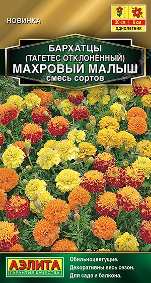Бархатцы Махровый малыш отклоненные, смесь сортов - фото Бархатцы Махровый малыш отклоненные, смесь сортов - фото