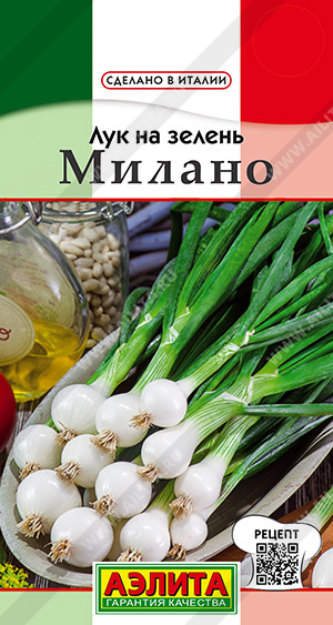Лук на зелень Милано - фото Лук на зелень Милано - фото