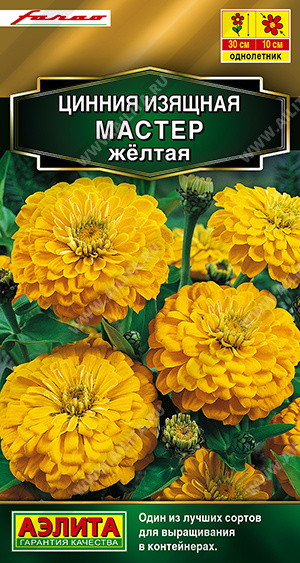 Цинния Мастер желтая - фото Цинния Мастер желтая - фото