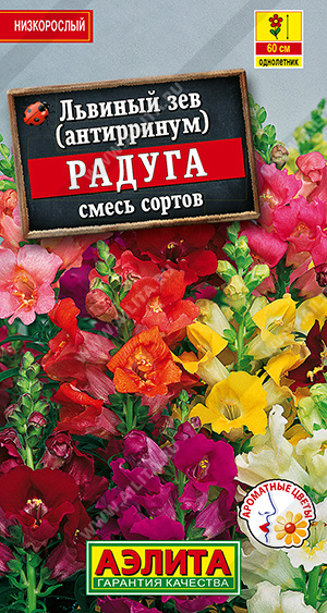 Львиный зев Радуга, смесь сортов - фото Львиный зев Радуга, смесь сортов - фото