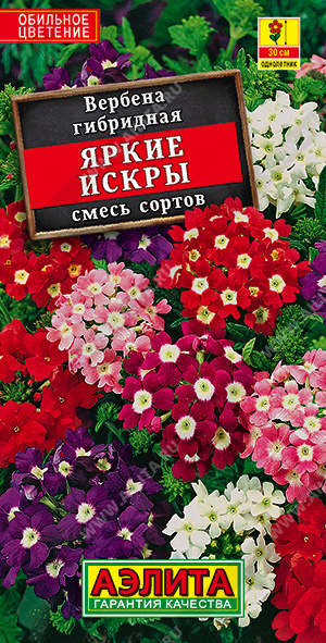 Вербена Яркие искры, смесь сортов - фото Вербена Яркие искры, смесь сортов - фото
