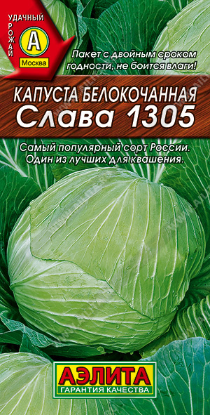 Капуста б/к Слава 1305 - фото Капуста б/к Слава 1305 - фото