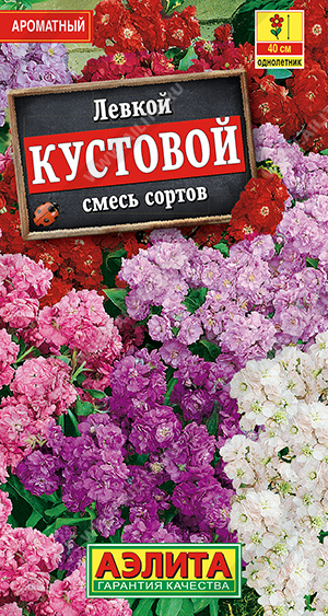 Левкой Кустовой, смесь сортов - фото Левкой Кустовой, смесь сортов - фото